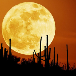 Пазл: Загадочная луна