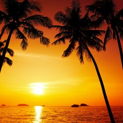 Пазл: Золотой закат