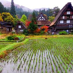 Пазл: Деревенский пейзаж