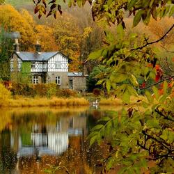 Пазл: Осень