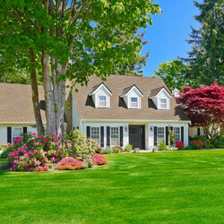 Пазл: Особняк