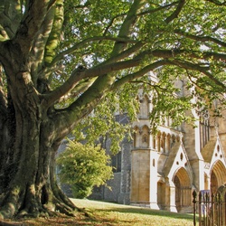 Пазл: Солнечный замок