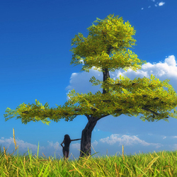 Пазл: Дотронуться до дерева