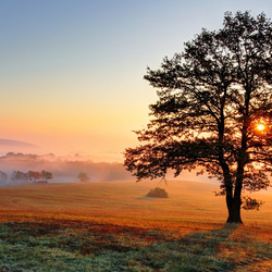 Пазл: Лучи рассвета