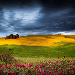 Пазл: Простор