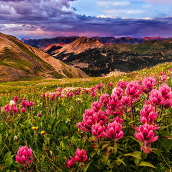 Пазл: В горах 