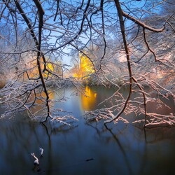 Пазл: Зима в Бруклине