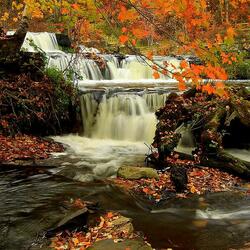 Пазл: Водопад   