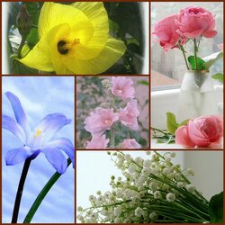 Пазл: Цветочная нежность