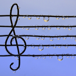 Пазл: Скрипичный ключ под дождем