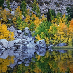 Пазл: Осень в горах