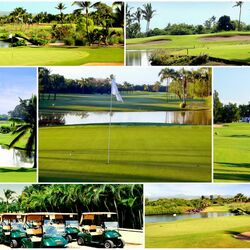 Пазл: Поля для гольфа 