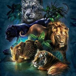 Пазл: Большие кошки    