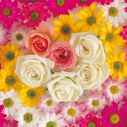 Пазл: Цветочные круги