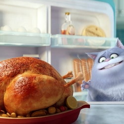 Пазл: Тайная жизнь домашних животных