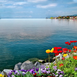 Пазл: Залив 