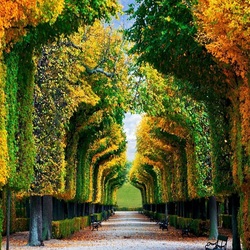 Пазл: Аллея