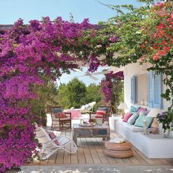 Пазл: Обустроенная дача