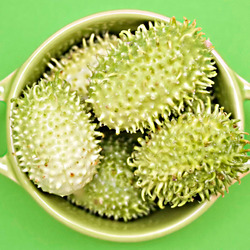 Пазл: Экзотический огурец