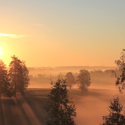 Пазл: Туманный рассвет