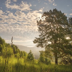 Пазл: Рассвет