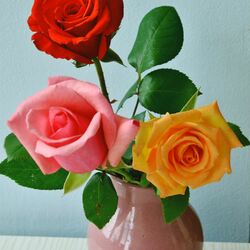 Пазл: Три розы