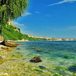 Пазл: Берег