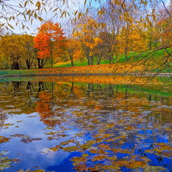 Пазл: Осень