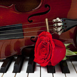 Пазл: Скрипка и роза на фортепиано