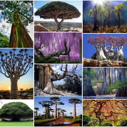 Пазл: Как с другой планеты