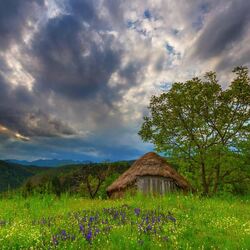 Пазл: Полянка из сказок