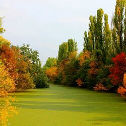 Пазл: Осенняя река