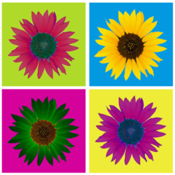 Пазл: Коллаж