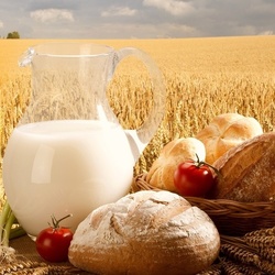 Пазл: Дары земли Русской