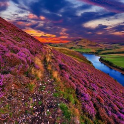 Пазл: Река вдоль холмов  