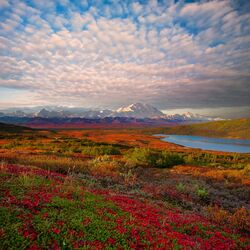 Пазл: В долине гор 