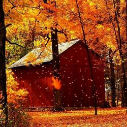 Пазл: Осенний листопад