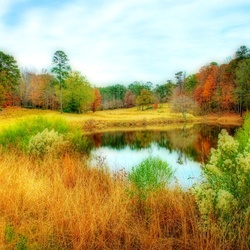 Пазл: Осенний день