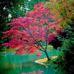 Пазл: Яркая красота природы