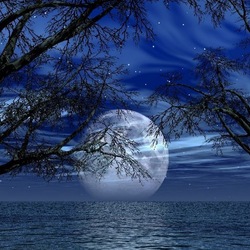 Пазл: Полная луна 