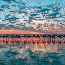 Пазл: Караван