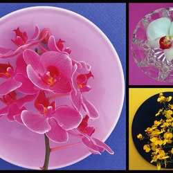 Пазл: Круглые формы