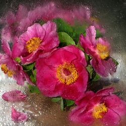 Пазл: Свидание с дождем