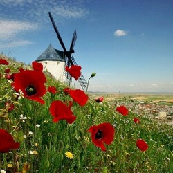 Пазл: Ветряная мельница