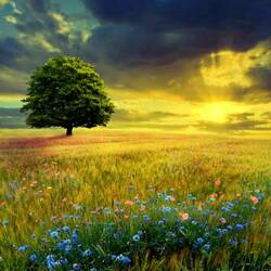 Пазл: Перед грозой