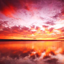 Пазл: Великий художник