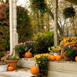 Пазл: Осенний декор