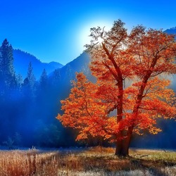 Пазл: Синий туман