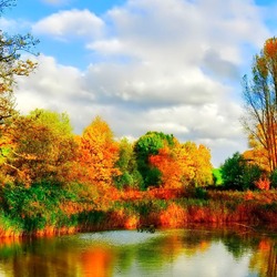 Пазл: У озера