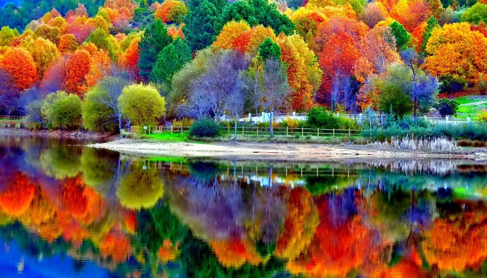 Colors Of Autumn